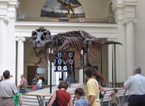В Австралии обнаружен «Парк Юрского периода» со следами самого большого динозавра