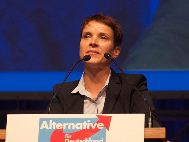 Немецкая партия AfD не откажется от радикальной платформы
